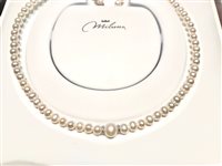 Collana Miluna Donna in Perle PCL5914 - PCL5914